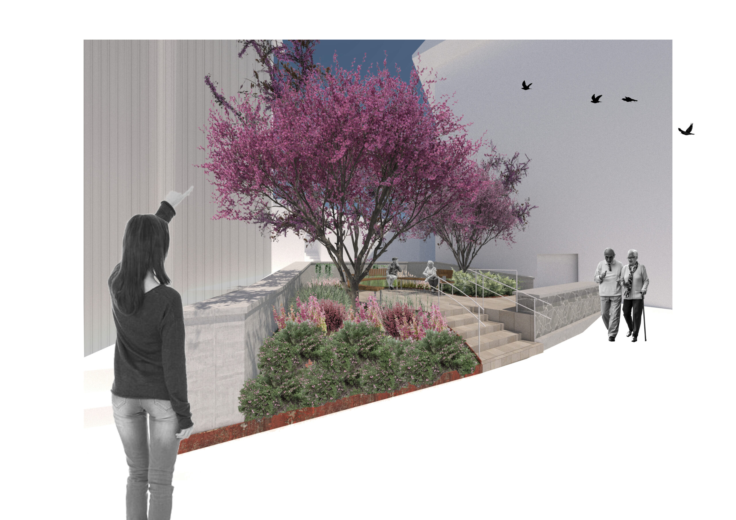 Santa Ana hiri-oasia